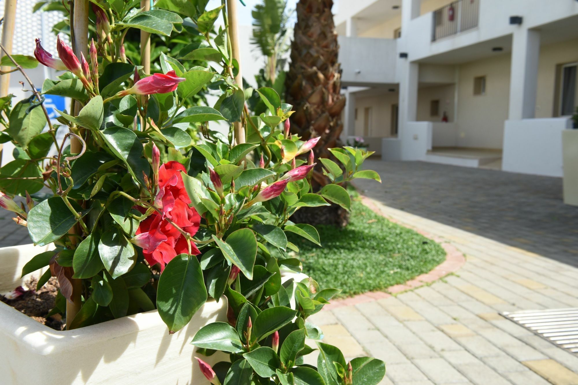 Donnosanto Residence Torre Santa Sabina Dış mekan fotoğraf